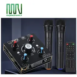 ماژول اکو آمپلی فایر 100 وات AMP-2206