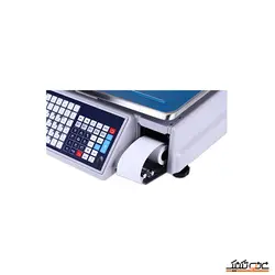 قیمت و خرید ترازو فروشگاهی صبا مدل BCS-100PEA | نانوتکنیک