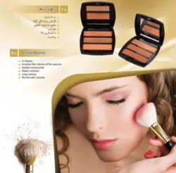 پالت رژگونه گیاهی 3 رنگ آرسلار