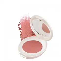 رژگونه چارمینگ شون شماره B02 (عمده)