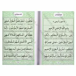 کتاب گشایش مشکلات ختم سوره مبارکه یس همراه با زیارت عاشورا و دعای توسل ( قطع جیبی و درشت خط) | نظاره؛ فروشگاه اینترنتی کتاب