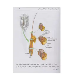 کتاب مهارت های آموزشی برای دانشجویان | نظاره؛ فروشگاه اینترنتی کتاب