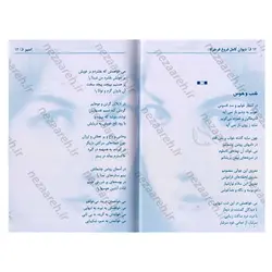 کتاب دیوان اشعار فروغ فرخزاد | نظاره؛ فروشگاه اینترنتی کتاب