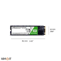 حافظه اس اس دی وسترن دیجیتال مدل گرین ام تو با ظرفیت 240 گیگابایت