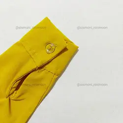 بادی مجلسی رنگی