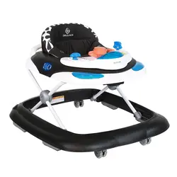 روروئک دلیجان