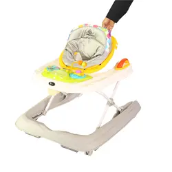 روروئک مکس max دلیجان