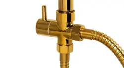 یونیورست طلایی