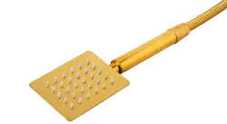 یونیورست طلایی