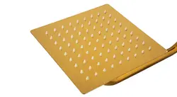 یونیورست طلایی