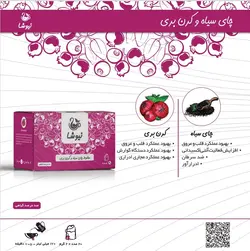 پک 40 روزه لاغری نیوشا