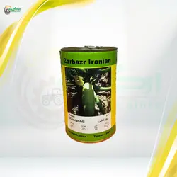 بذر کدو