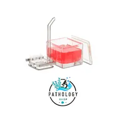 بسکت رنگ آمیزی لام