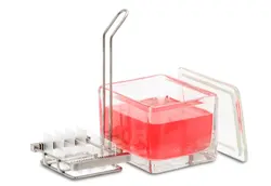 بسکت رنگ آمیزی لام