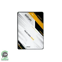 حافظه اس اس دی Axtrom 256GB