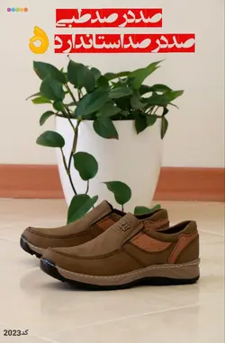 فروش ویژه کفش طبی مردانه_زیتونی