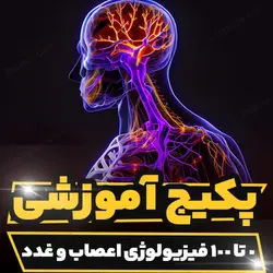 وبینار آموزشی 0 تا 100 فیزیولوژی اعصاب و غدد | رابینیا | کاملترین سایت روانشناسی ایران