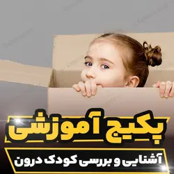 پکیج آموزشی آشنایی و بررسی کودک درون به صورت کامل | رابینیا