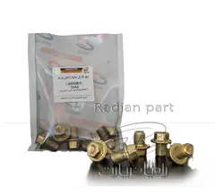 پیچ کارتل سایپا رادیان پارت