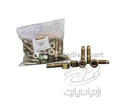 پیچ و مهره گلواگزوز رادیان پارت