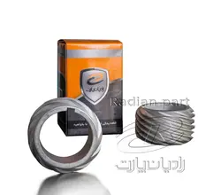 دنده اویل پمپ رادیان پارت