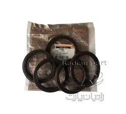 کاسنمد ته میل لنگ شرکتی