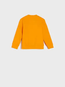 سوییشرت نارنجی ببری