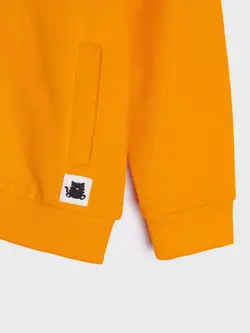 سوییشرت نارنجی ببری