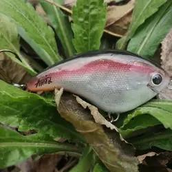 لورهای سایز بزرگ دست ساز