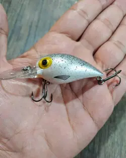 طعمه مصنوعی ماهی استخوانی HARD LURE)  CW05 #0062)