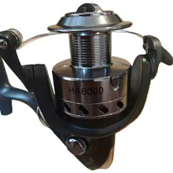 چرخ هانگ ژیانگ