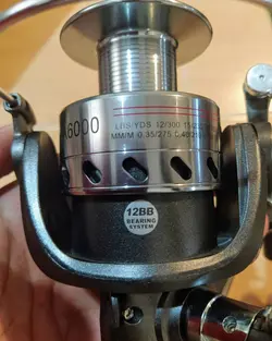 چرخ هانگ ژیانگ