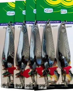 قاشقک نقره ای کارکو اصل