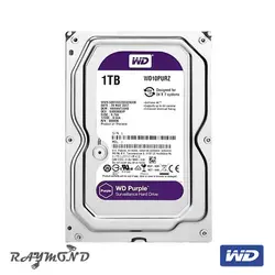رایموند هارد دیسک اینترنال وسترن دیجیتال مدل Purple WD ظرفیت 1TB