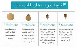 دستگاه مراقبت از زیبایی پلاسما اوزون گلد 2 در 1 برای از بین بردن چین و چروک صورت مارک انزو ایتالی OZONE PALSMA enzo italy