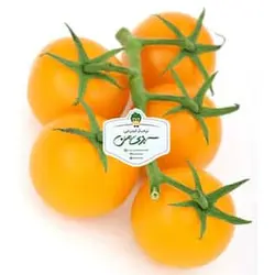 گوجه خوشه ای زرد - تره بار اینترنتی سبزی من