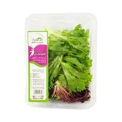 کاهو هلندی آنیتاسو - تره بار اینترنتی سبزی من - کاهو هلندی آنیتاسو