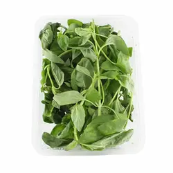 ریحان ایتالیایی رایا - قیمت ریحان ایتالیایی از تره بار اینترنتی سبزی من