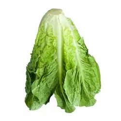 کاهو رسمی - تره بار اینترنتی سبزی من