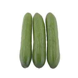 خیار گلخانه ای - تره بار اینترنتی سبزی من