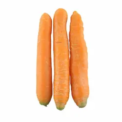 هویج - تره بار اینترنتی سبزی من