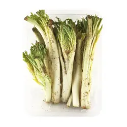 کنگر - تره بار اینترنتی سبزی من