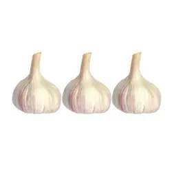 سیر خشک - تره بار اینترنتی سبزی من