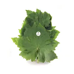 برگ مو - تره بار اینترنتی سبزی من