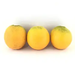 پرتقال والنسیا - تره بار اینترنتی سبزی من