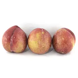 آلو سانتریزه - تره بار اینترنتی سبزی من