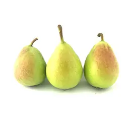 گلابی بیروتی - تره بار اینترنتی سبزی من