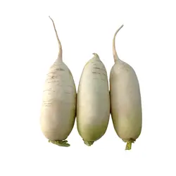 ترب سفید - تره بار اینترنتی سبزی من