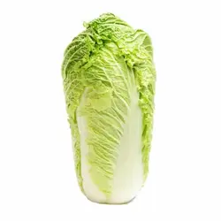 کاهو چینی - تره بار اینترنتی سبزی من