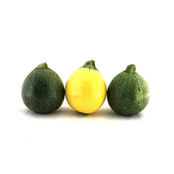 کدو گرد رنگی - تره بار اینترنتی سبزی من